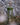 PLP_content_bonjour_3