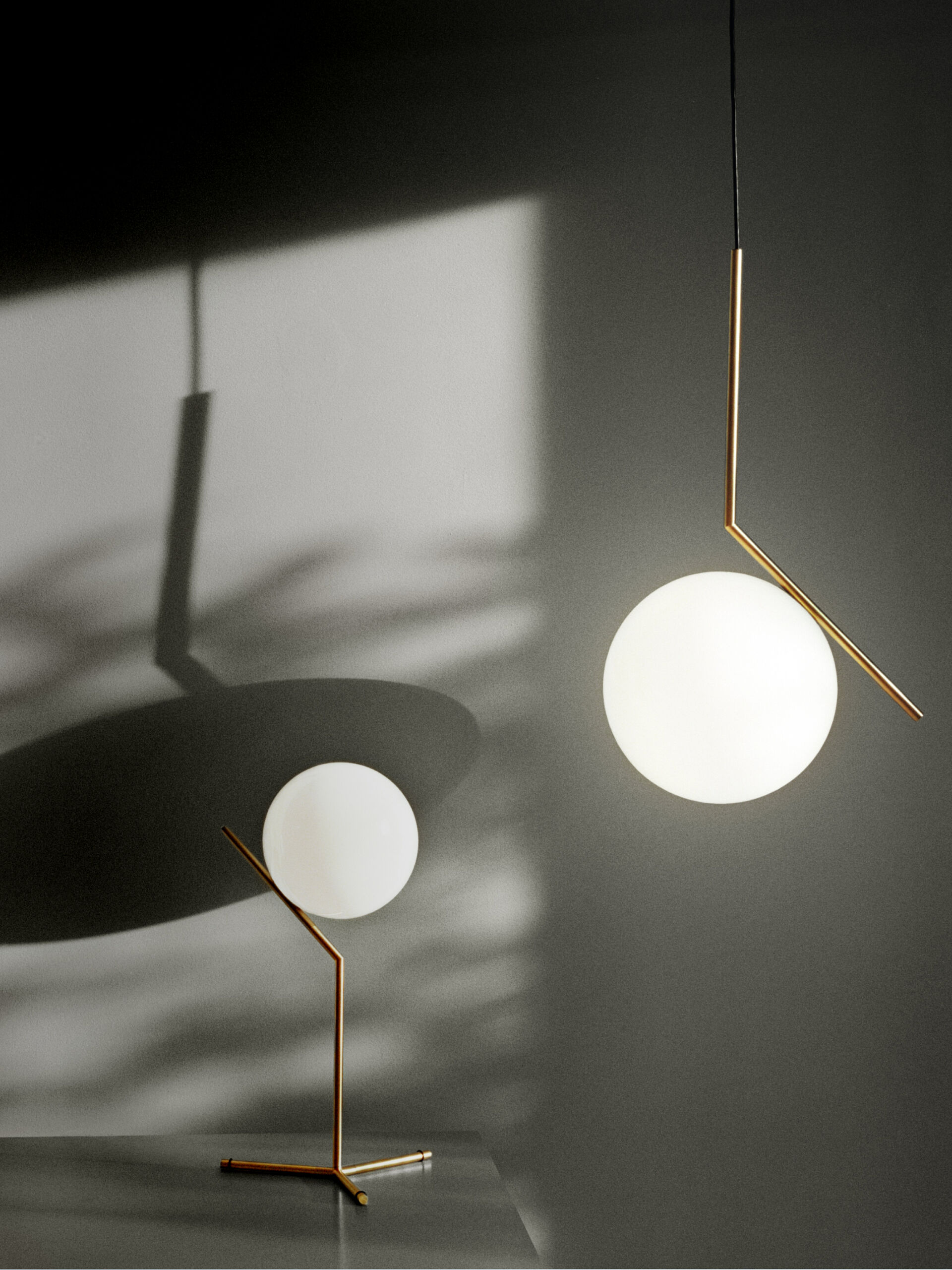 Image with Frisbi for the Spring Sale