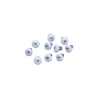 2097 White screw kit