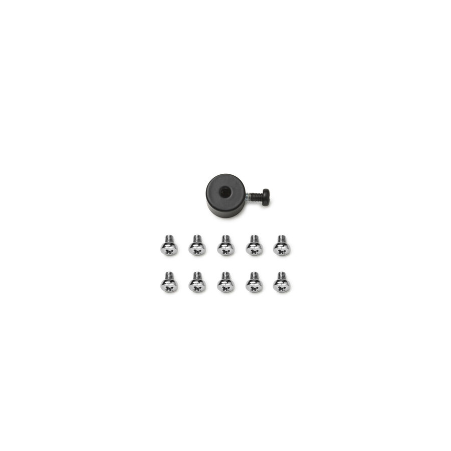 Chrome screw kit