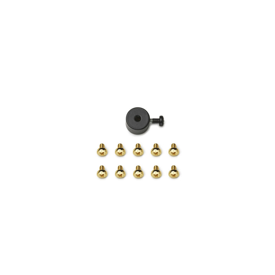 2097 Brass screw kit