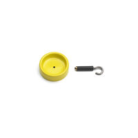 Yellow ceiling rose