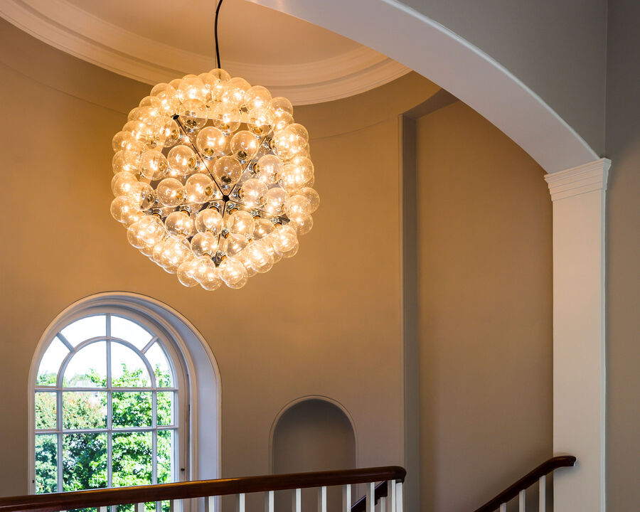 Taraxacum 88 Suspension 1