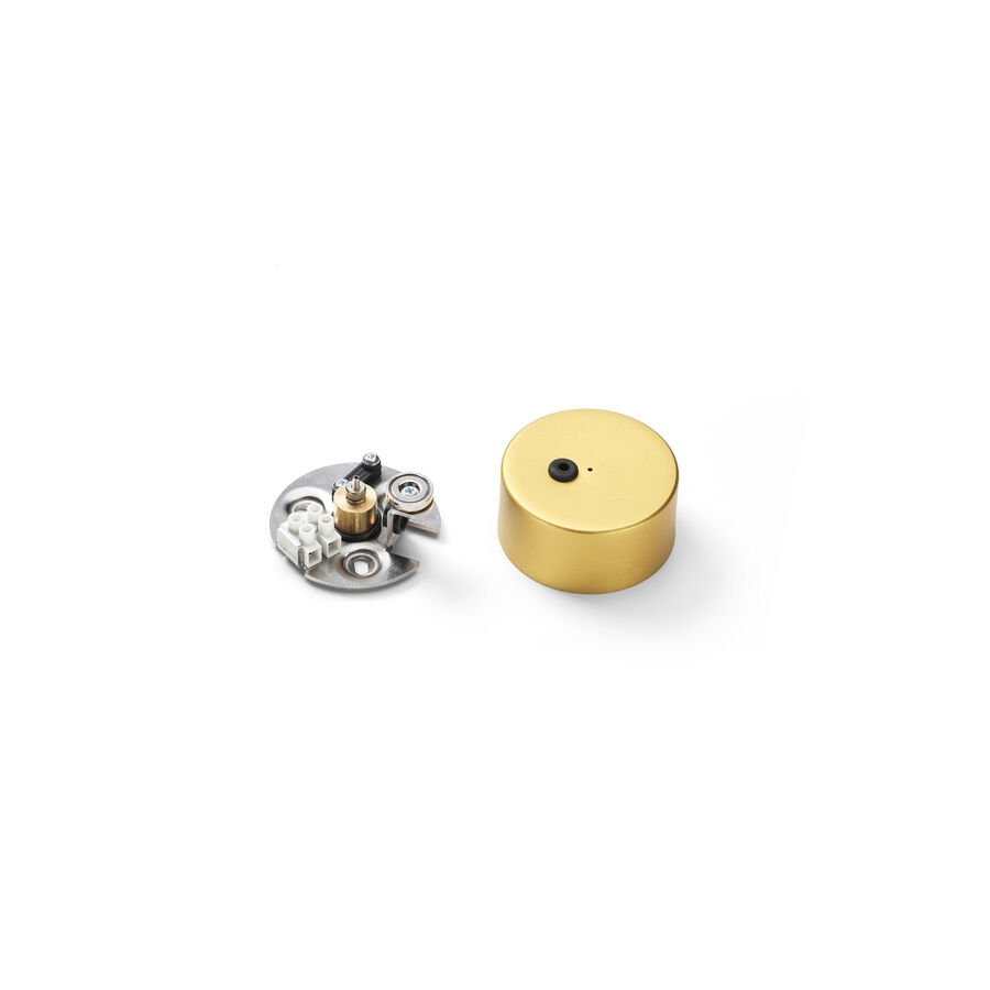 Flos Original Spare Part Assembly Rose Cover for Coordinates S CLIII Anodized Champagne