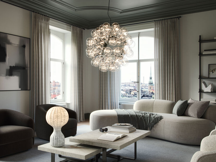 Taraxacum 88 Suspension 1