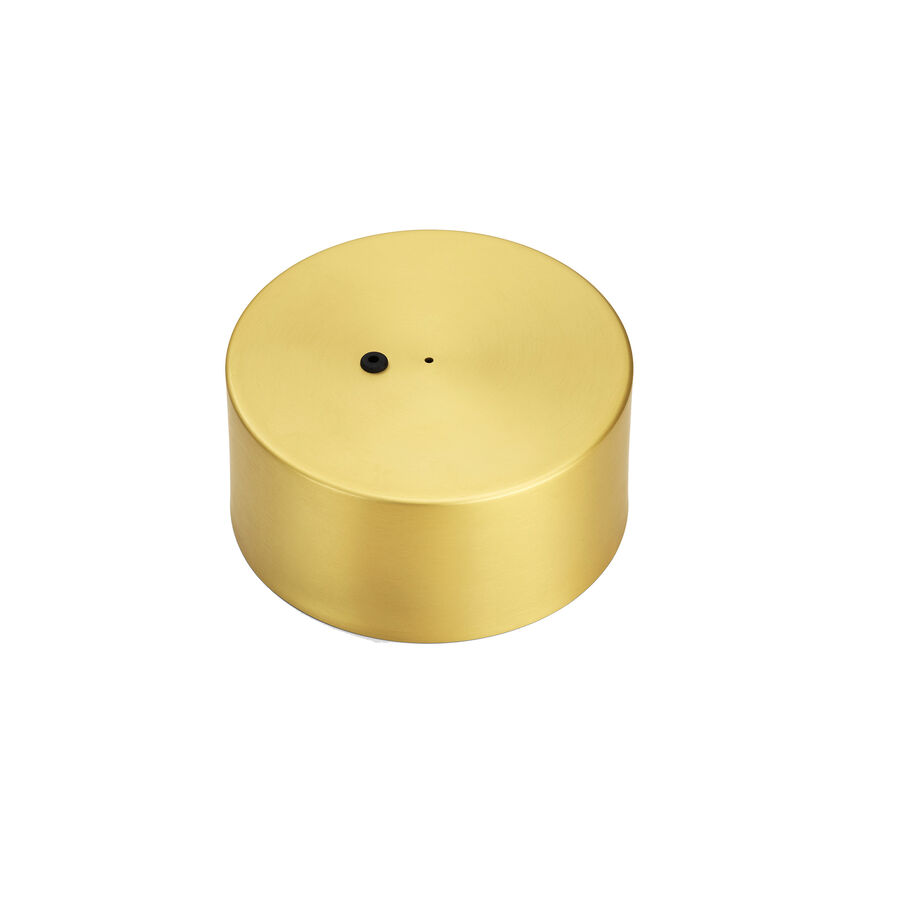 Originales Flos Ersatzteil Coordinates S Assembly Big Rose Anodized Champagne