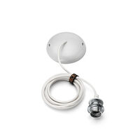 Taraxacum Suspension 2 Electrical wiring assembly