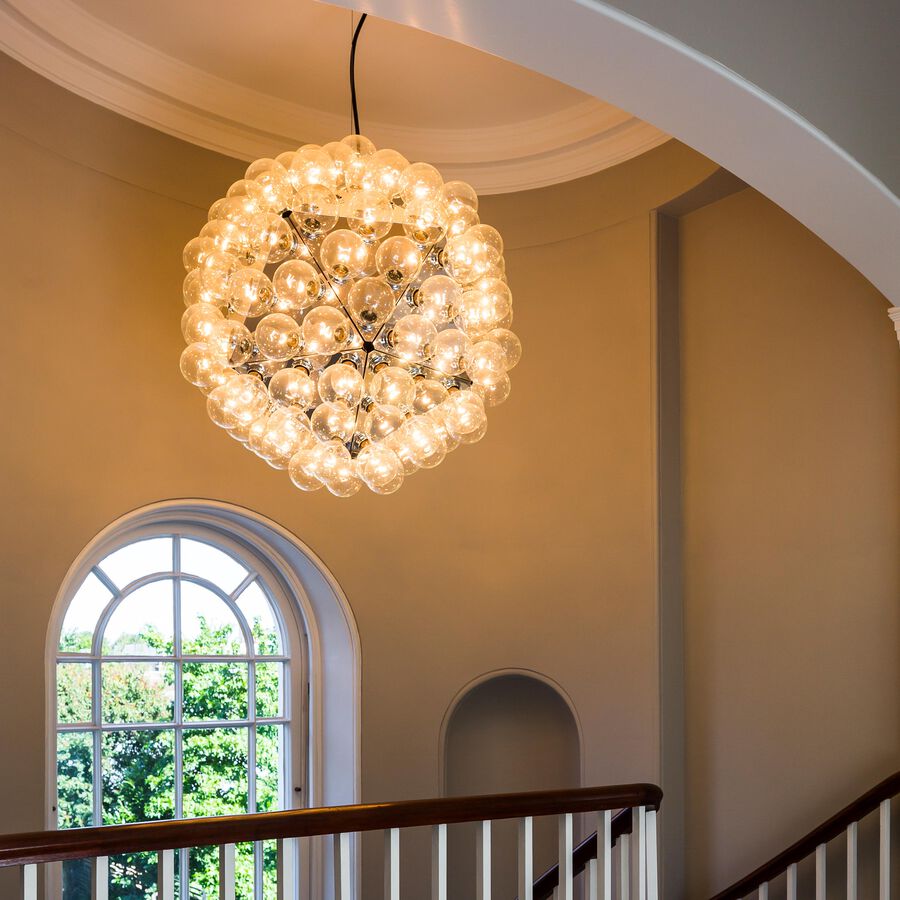 Taraxacum 88 Suspension 2