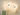 Flos Maap W2 lamp, Wall in environment